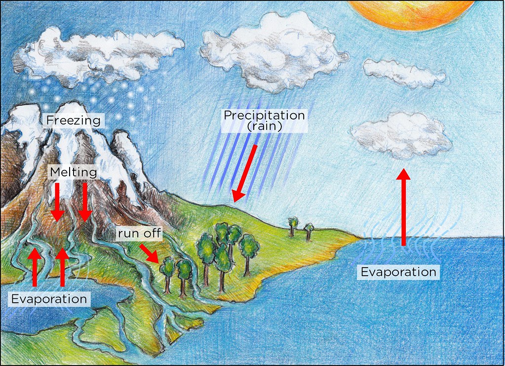 Water Cycle